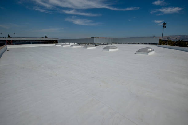 Best Steel Roofing  in Broxton, GA