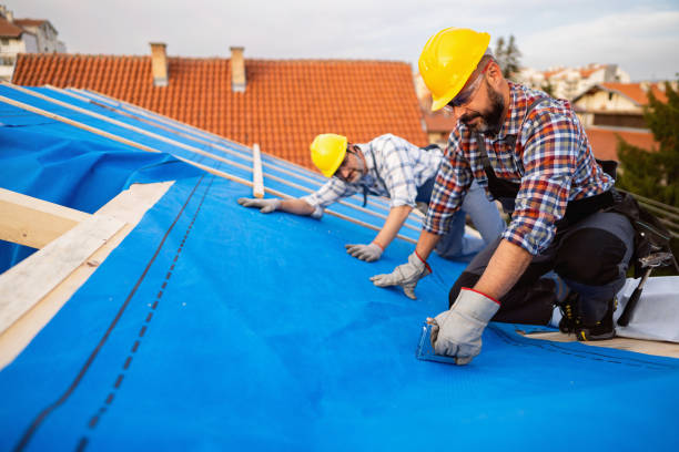 Best Sheet Metal Roofing  in Broxton, GA